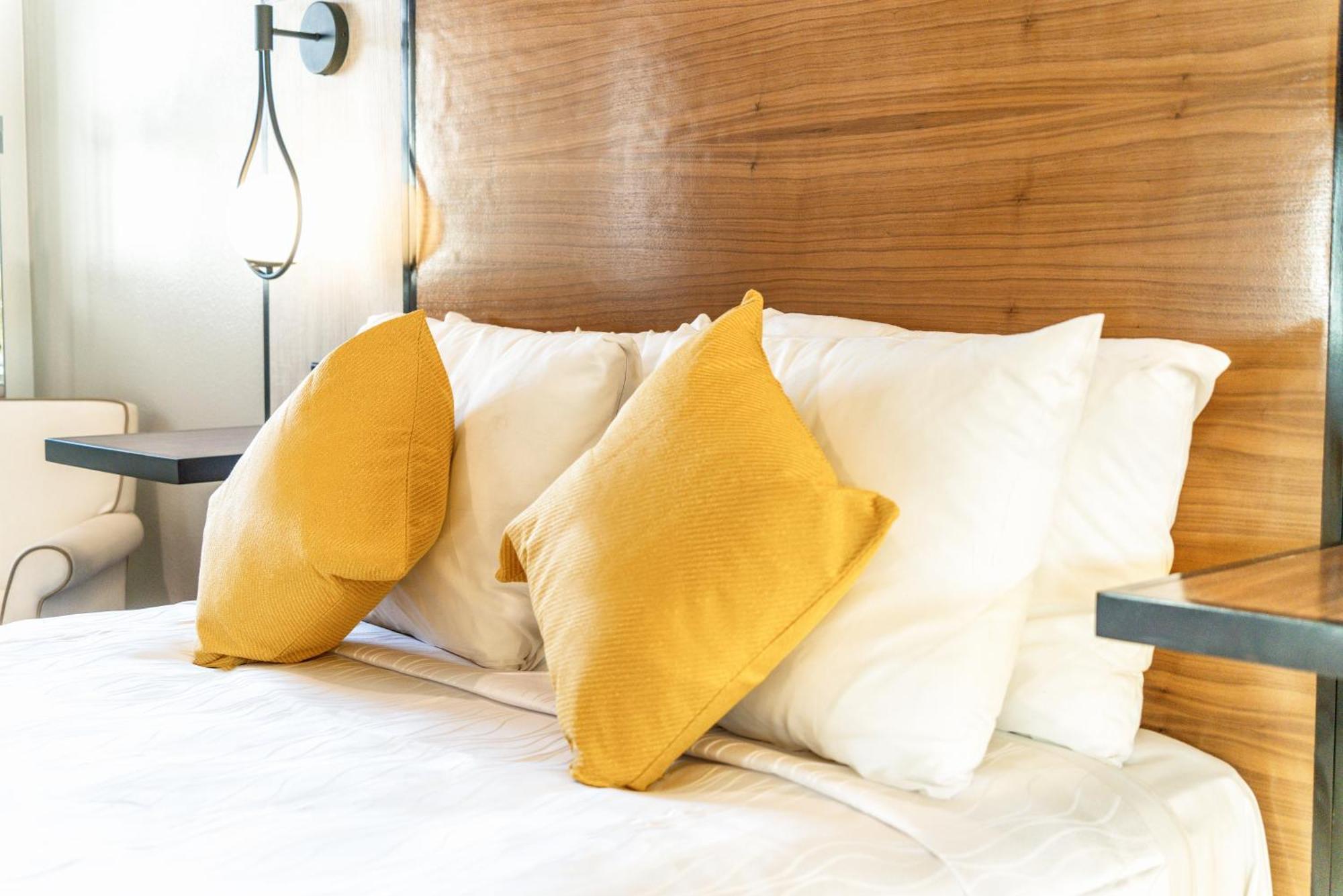Aspire Inn Studios & Spas 벨플라워 외부 사진